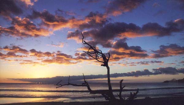 Kauai Sunset